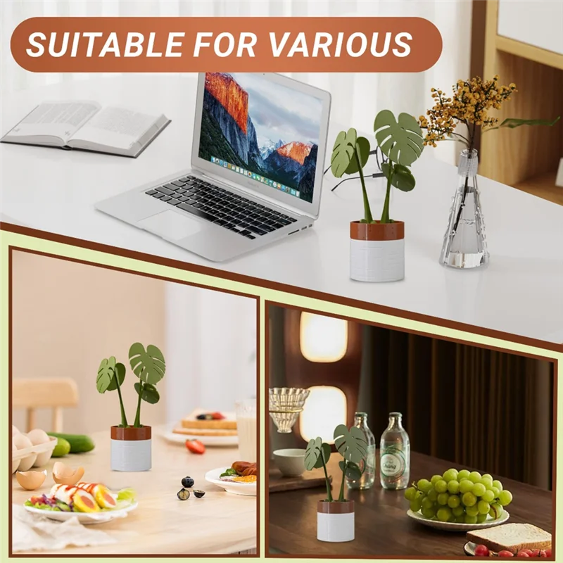 The Magnetic Plant Coaster